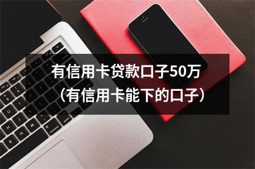 有信用卡贷款口子50万（有信用卡能下的口子）