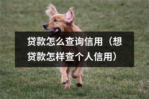 贷款怎么查询信用（想贷款怎样查个人信用）