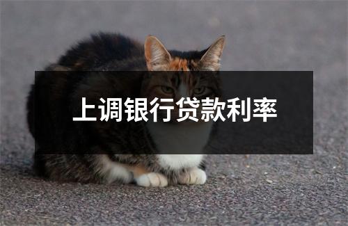 上调银行贷款利率