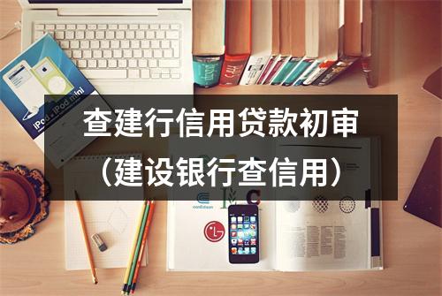 查建行信用贷款初审（建设银行查信用）