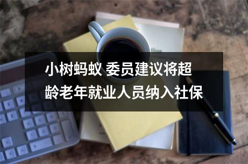 小树蚂蚁 委员建议将超龄老年就业人员纳入社保