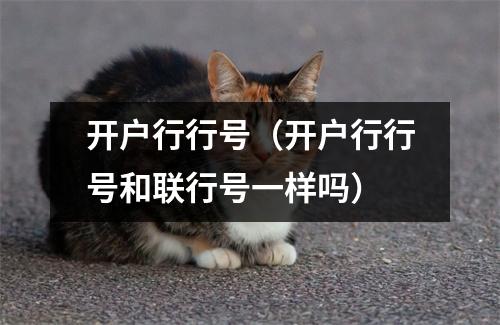 开户行行号（开户行行号和联行号一样吗）