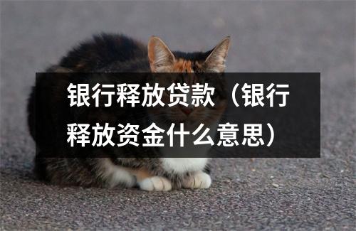 银行释放贷款（银行释放资金什么意思）