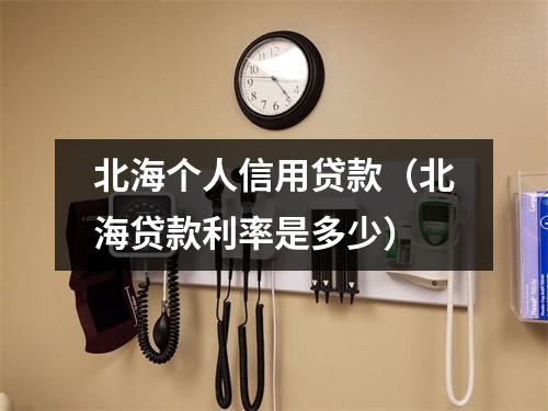 北海个人信用贷款(北海贷款利率是多少)