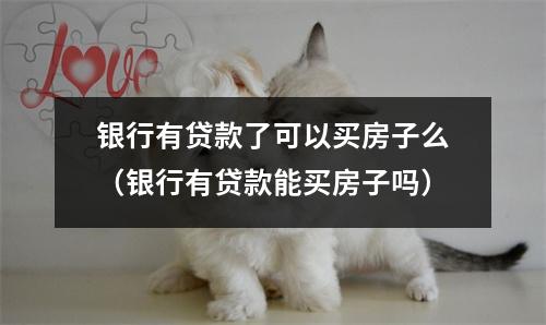 银行有贷款了可以买房子么（银行有贷款能买房子吗）