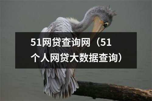51网贷查询网（51个人网贷大数据查询）