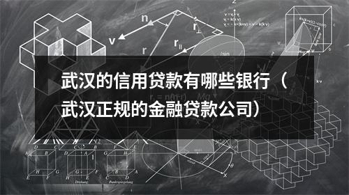 武汉的信用贷款有哪些银行(武汉正规的金融贷款公司)