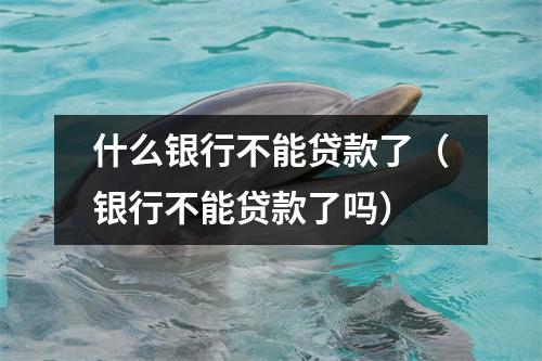 什么银行不能贷款了（银行不能贷款了吗）