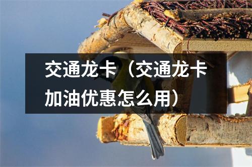 交通龙卡（交通龙卡加油优惠怎么用）