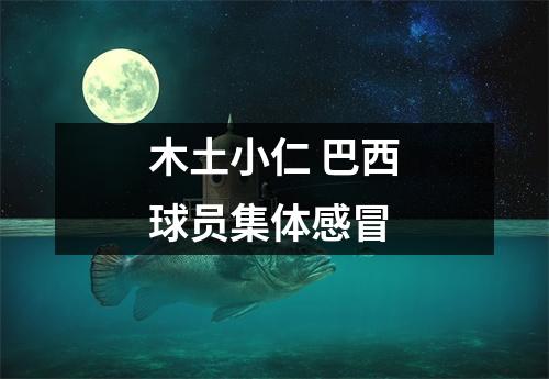 木土小仁 巴西球员集体感冒