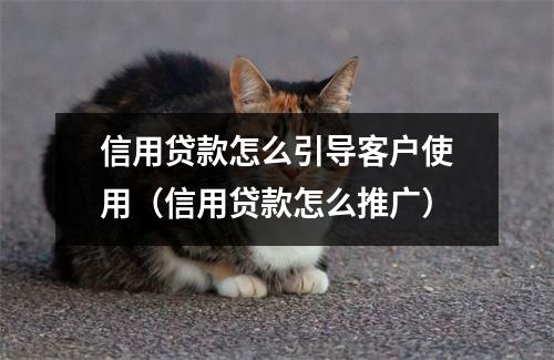 信用贷款怎么引导客户使用（信用贷款怎么推广）