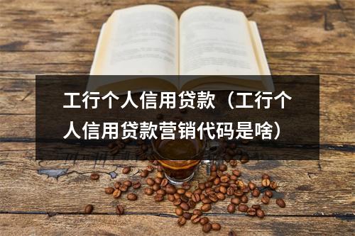 工行个人信用贷款（工行个人信用贷款营销代码是啥）