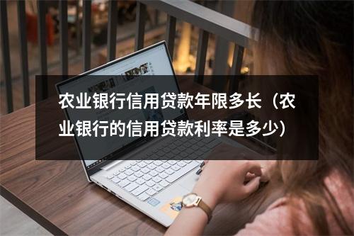农业银行信用贷款年限多长（农业银行的信用贷款利率是多少）