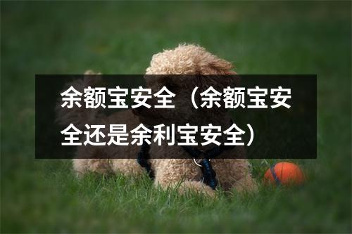 余额宝安全（余额宝安全还是余利宝安全）