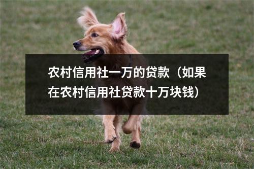 农村信用社一万的贷款（如果在农村信用社贷款十万块钱）