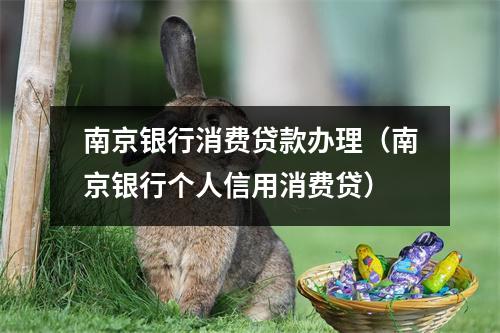 南京银行消费贷款办理(南京银行个人信用消费贷)
