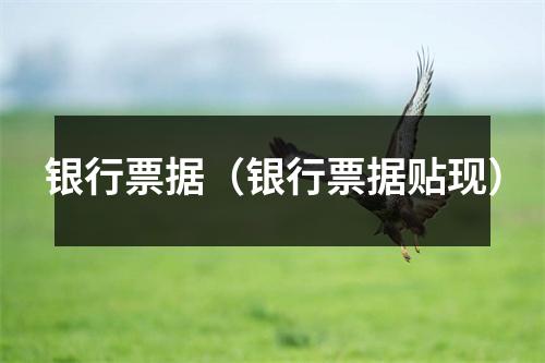 银行票据（银行票据贴现）