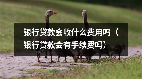 银行贷款会收什么费用吗（银行贷款会有手续费吗）