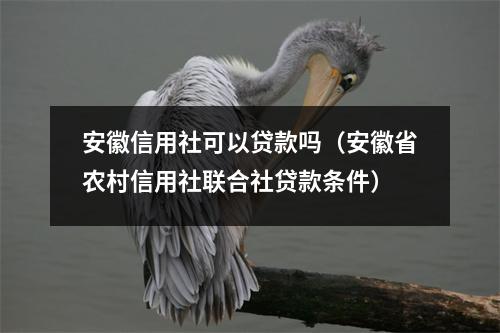 安徽信用社可以贷款吗（安徽省农村信用社联合社贷款条件）
