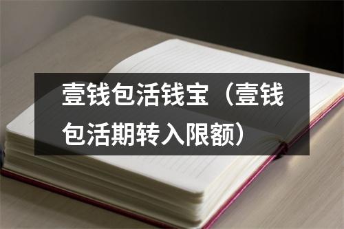 壹钱包活钱宝（壹钱包活期转入限额）