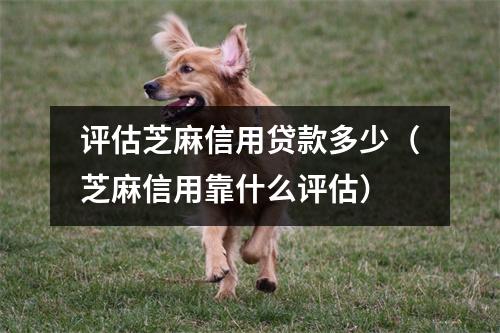 评估芝麻信用贷款多少（芝麻信用靠什么评估）