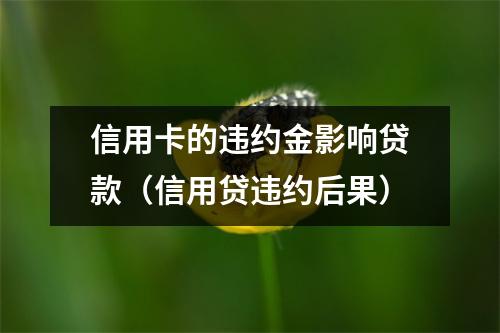信用卡的违约金影响贷款（信用贷违约后果）