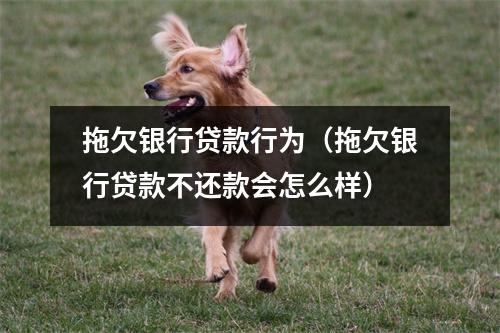 拖欠银行贷款行为（拖欠银行贷款不还款会怎么样）