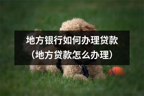 地方银行如何办理贷款（地方贷款怎么办理）