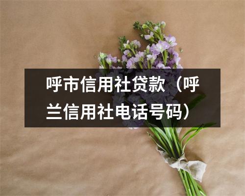 呼市信用社贷款（呼兰信用社电话号码）