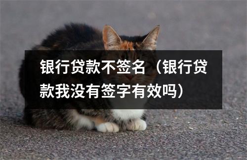银行贷款不签名(银行贷款我没有签字有效吗)