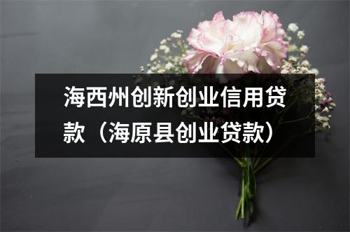 海西州创新创业信用贷款（海原县创业贷款）