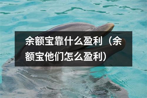 余额宝靠什么盈利（余额宝他们怎么盈利）