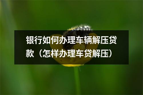 银行如何办理车辆解压贷款（怎样办理车贷解压）