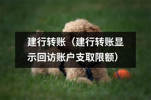 建行转账（建行转账显示回访账户支取限额）