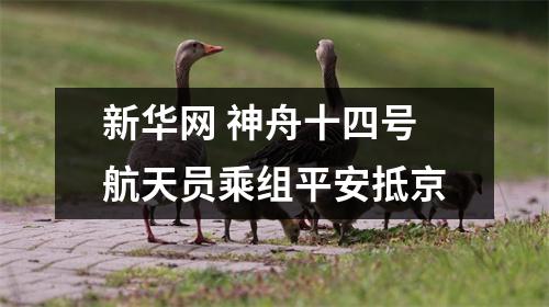 新华网 神舟十四号航天员乘组平安抵京