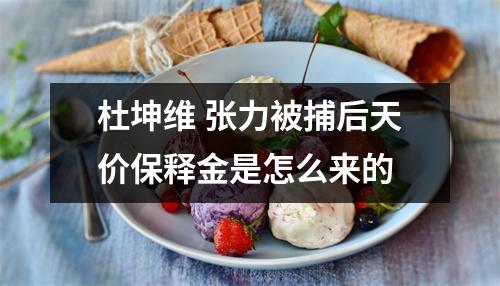 杜坤维 张力被捕后天价保释金是怎么来的