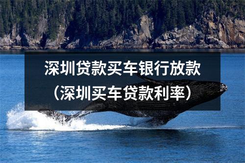 深圳贷款买车银行放款（深圳买车贷款利率）