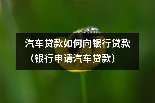汽车贷款如何向银行贷款（银行申请汽车贷款）