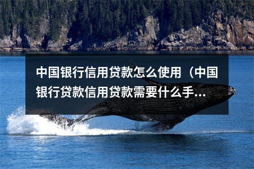 中国银行信用贷款怎么使用（中国银行贷款信用贷款需要什么手续和条件）