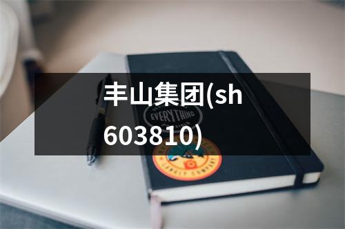 丰山集团(sh603810)
