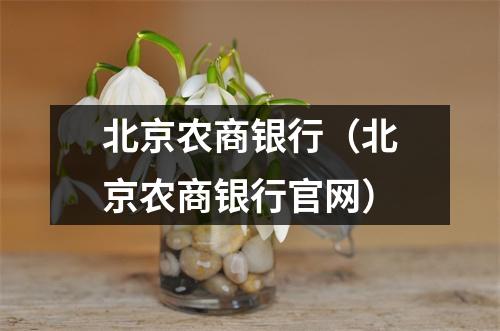 北京农商银行（北京农商银行官网）