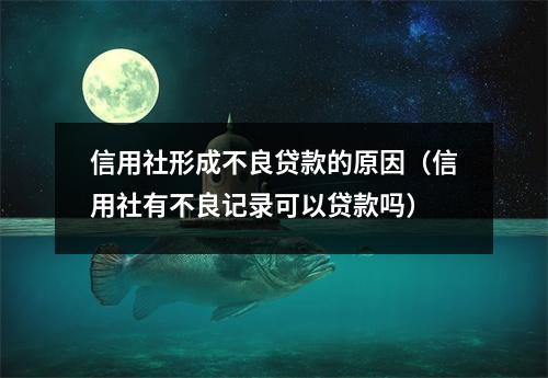 信用社形成不良贷款的原因（信用社有不良记录可以贷款吗）