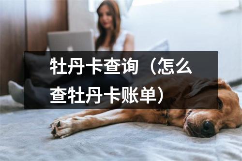牡丹卡查询（怎么查牡丹卡账单）