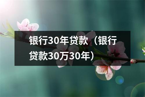 银行30年贷款（银行贷款30万30年）