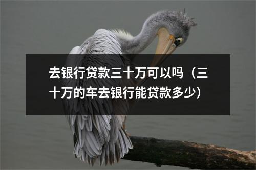 去银行贷款三十万可以吗（三十万的车去银行能贷款多少）