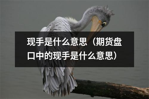 现手是什么意思(期货盘口中的现手是什么意思)