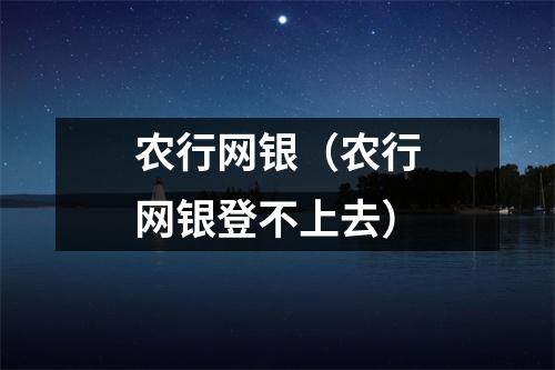 农行网银(农行网银登不上去)