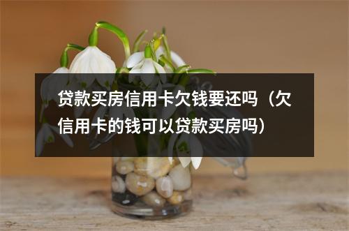 贷款买房信用卡欠钱要还吗（欠信用卡的钱可以贷款买房吗）