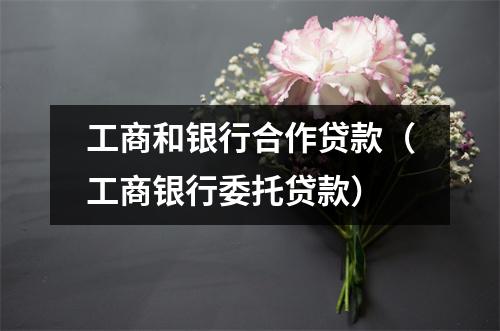 工商和银行合作贷款（工商银行委托贷款）