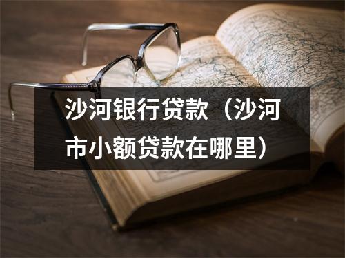 沙河银行贷款（沙河市小额贷款在哪里）